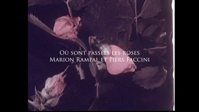 Où sont passées les roses