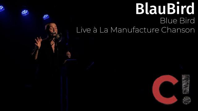 Blue Bird (live à La Manufacture Chanson)