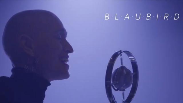  LA NUIT TRANSFIGURÉE DE BLAUBIRD - L'OISEAU EN MOI VOLE OÙ IL VEUT
