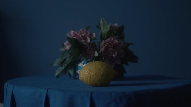 The Haunted Lemon (Official Video)