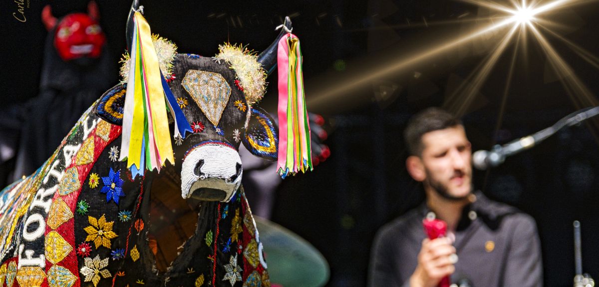 Bumba et la forêt enchantée | &copy; Guy Carlier